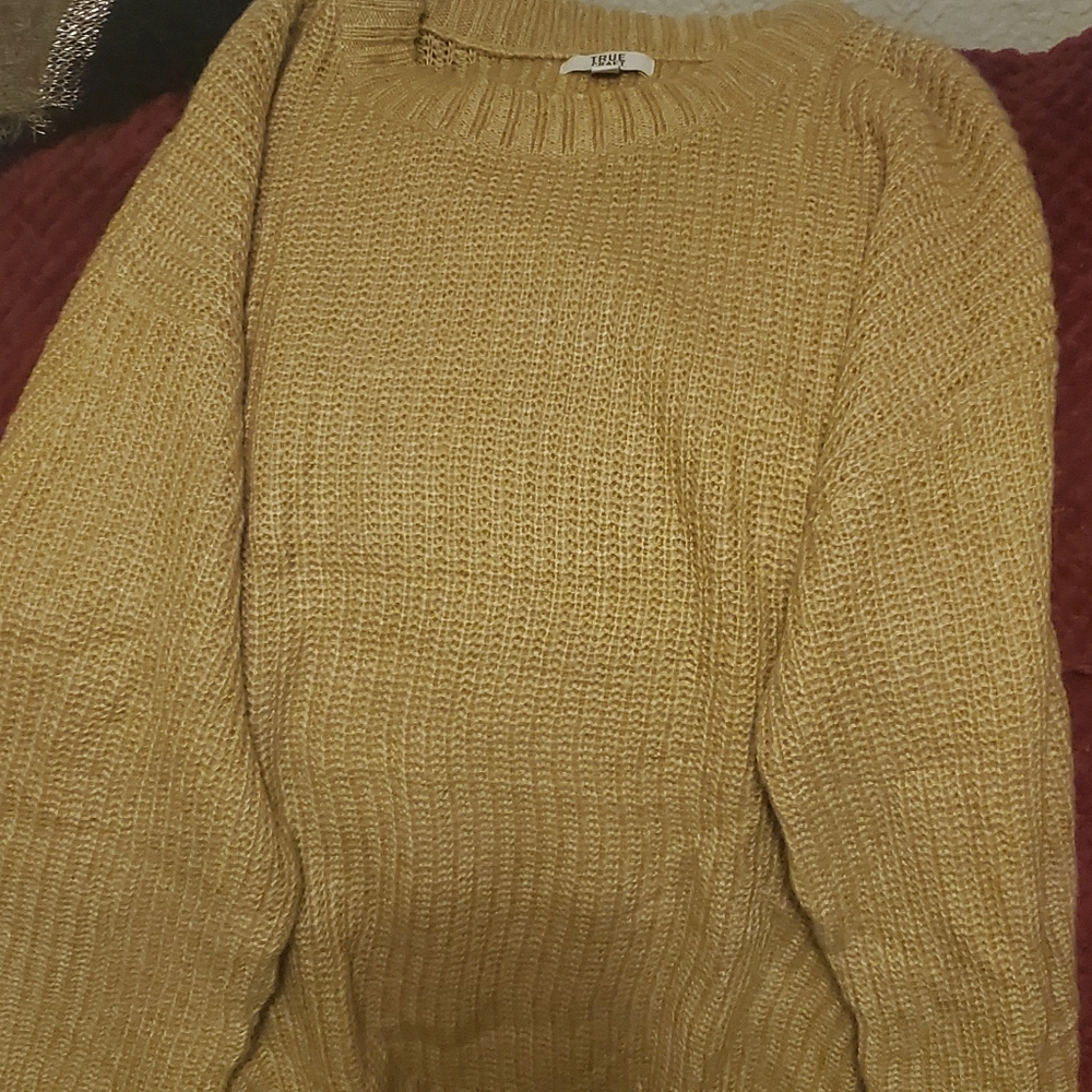 Tan Women Plus Size Sweater